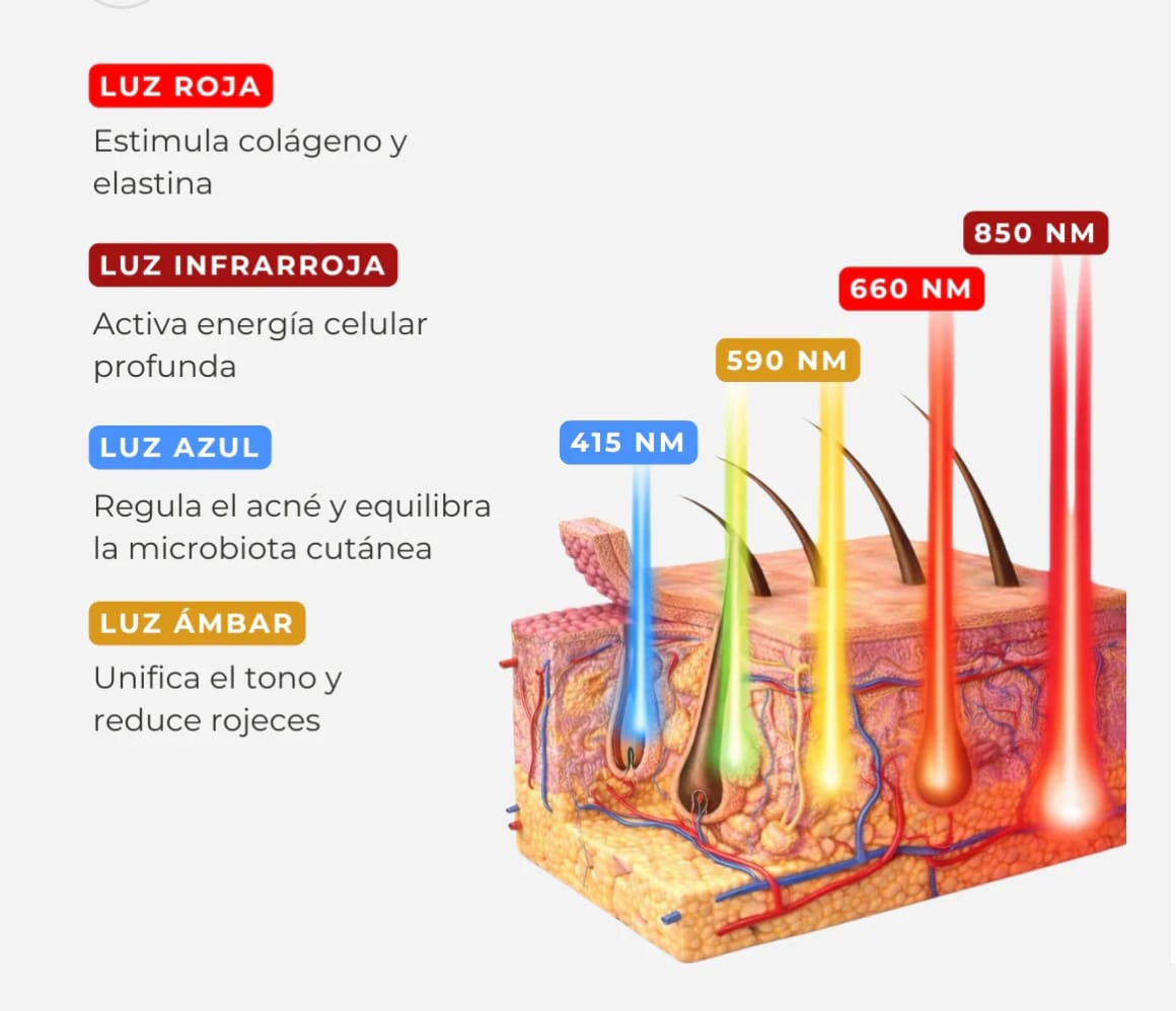 Mascara facial LED